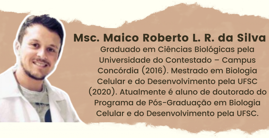 Msc. Maico Roberto L. R. da Silva. Graduado em Ciências Biológicas pela Universidade do Contestado – Campus Concórdia (2016). Mestrado em Biologia Celular e do Desenvolvimento pela UFSC (2020). Atualmente é aluno de doutorado do Programa de Pós-Graduação em Biologia Celular e do Desenvolvimento pela UFSC.