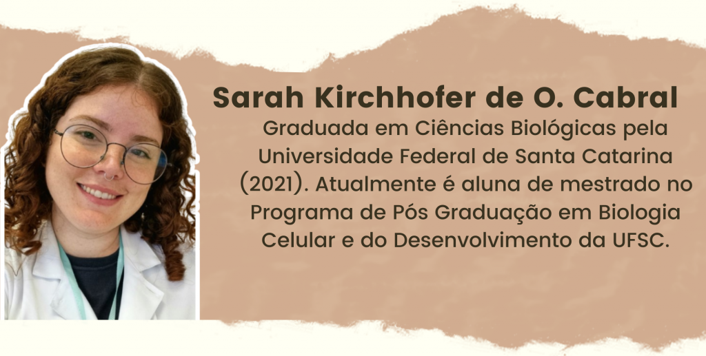 Sarah Kirchhofer de O. Cabral. Graduada em Ciências Biológicas pela Universidade Federal de Santa Catarina (2021). Atualmente é aluna de mestrado no Programa de Pós Graduação em Biologia Celular e do Desenvolvimento da UFSC.